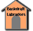 Backdraft Labradors